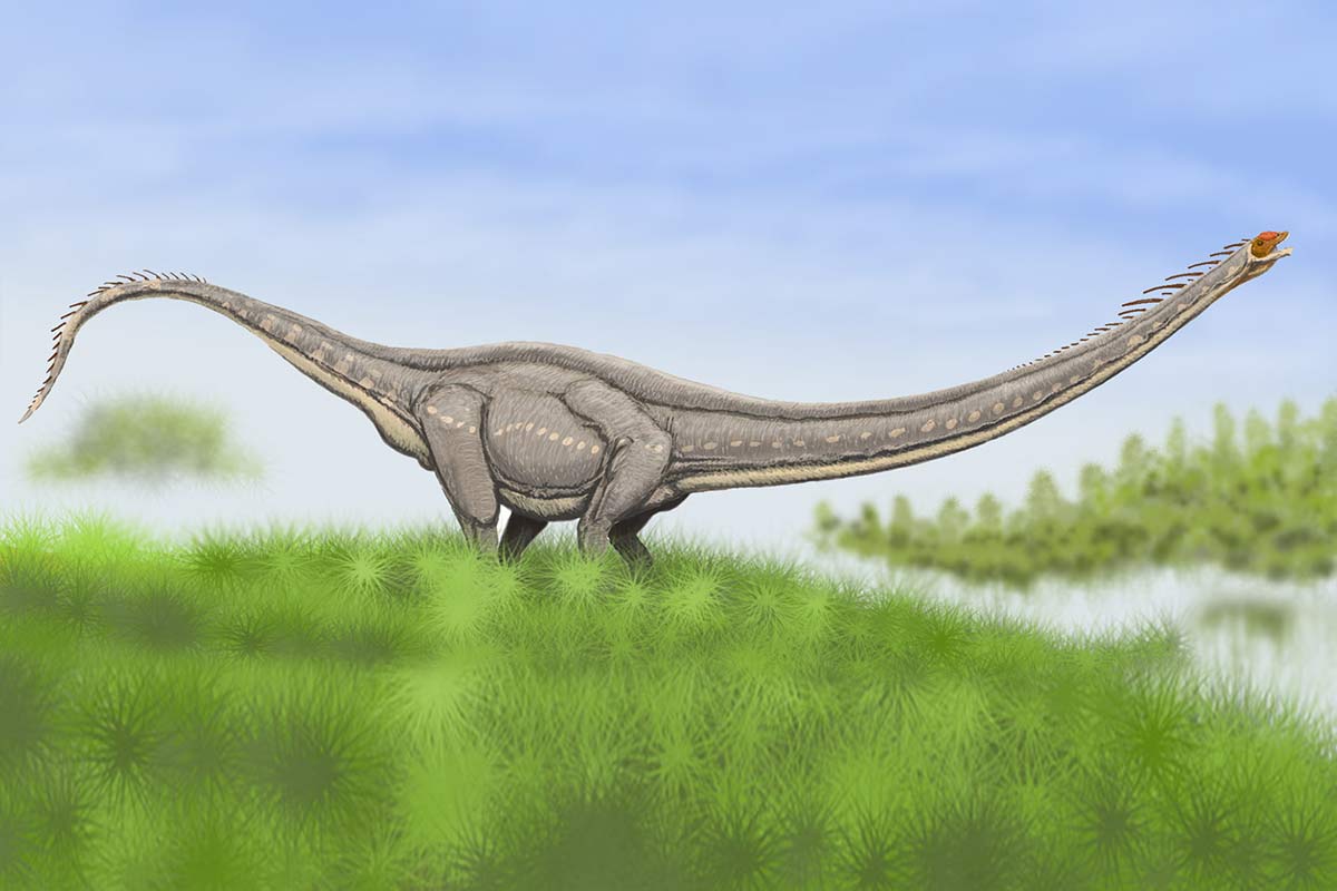 Mamenchisaurus