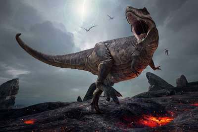 Tyrannosaurus asteroid xl