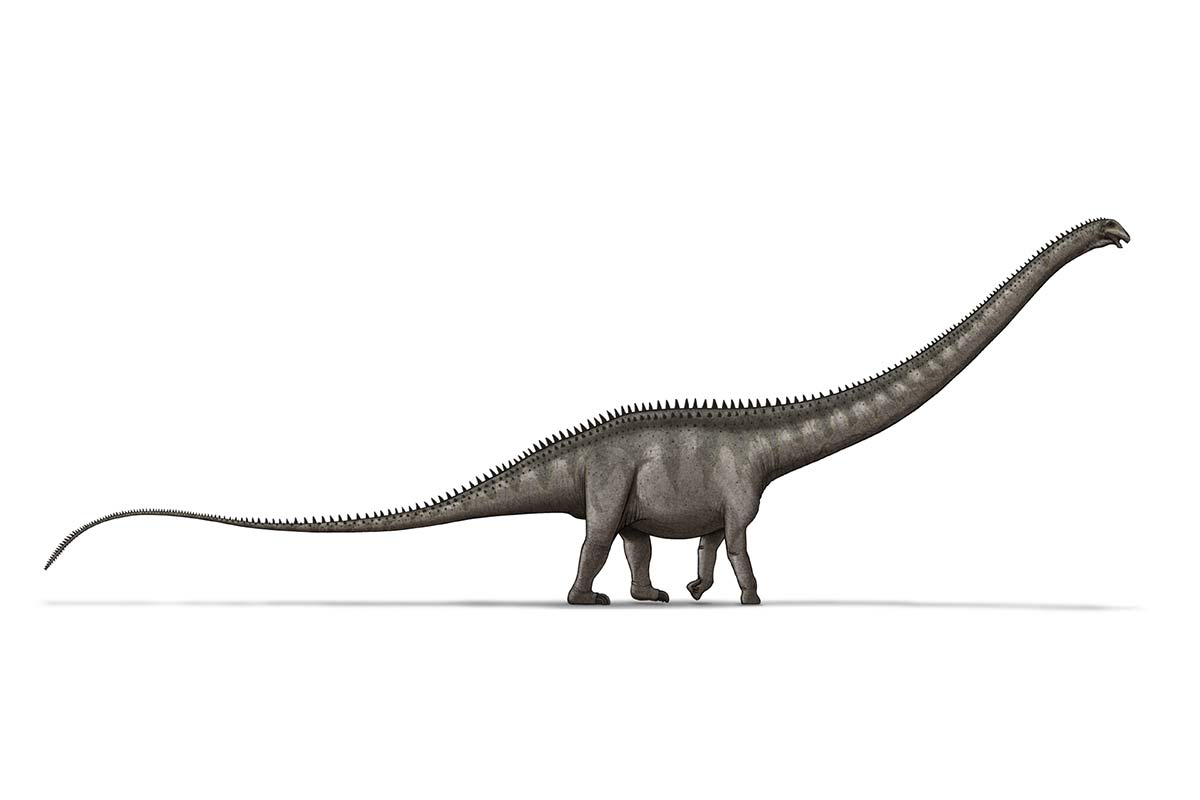 Supersaurus