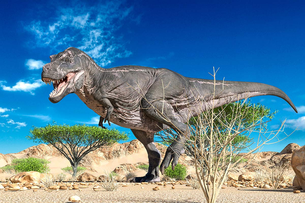 Tyrannosaurus