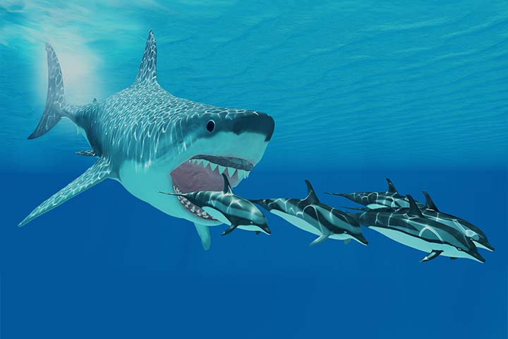 Ein Megalodon macht Jagd auf Delfine