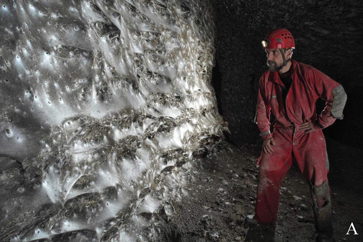 Das größte Spinnenetz der Welt hat eine Fläche von 100 Quadratmetern