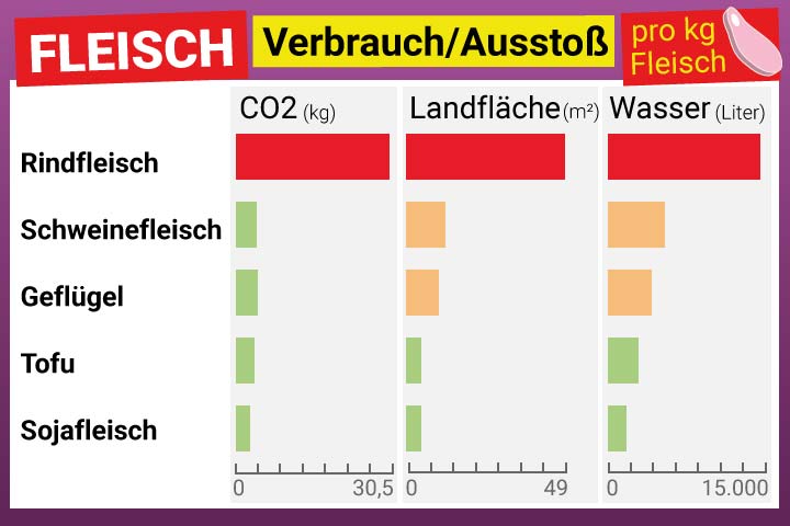 Fleisch Ökobilanz