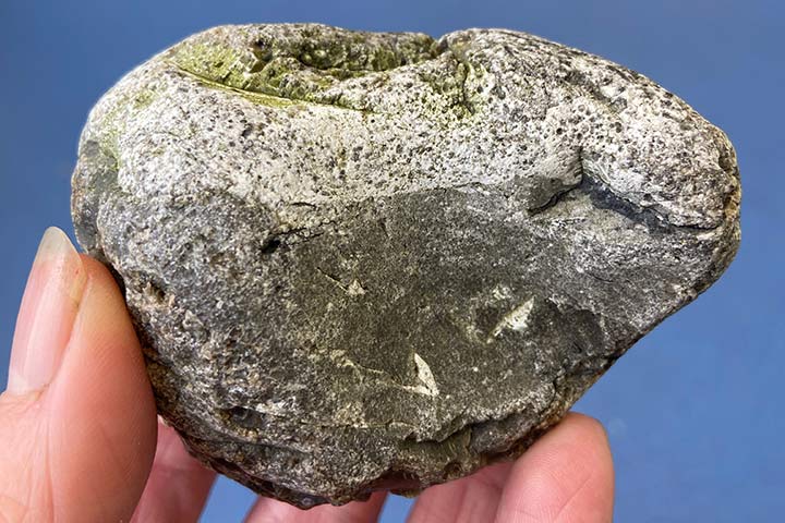 Das Erbrochene eines Pottwals