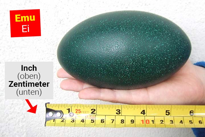 Emu-Ei
