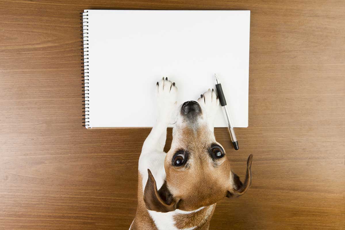 Hund mit Papier und Stift