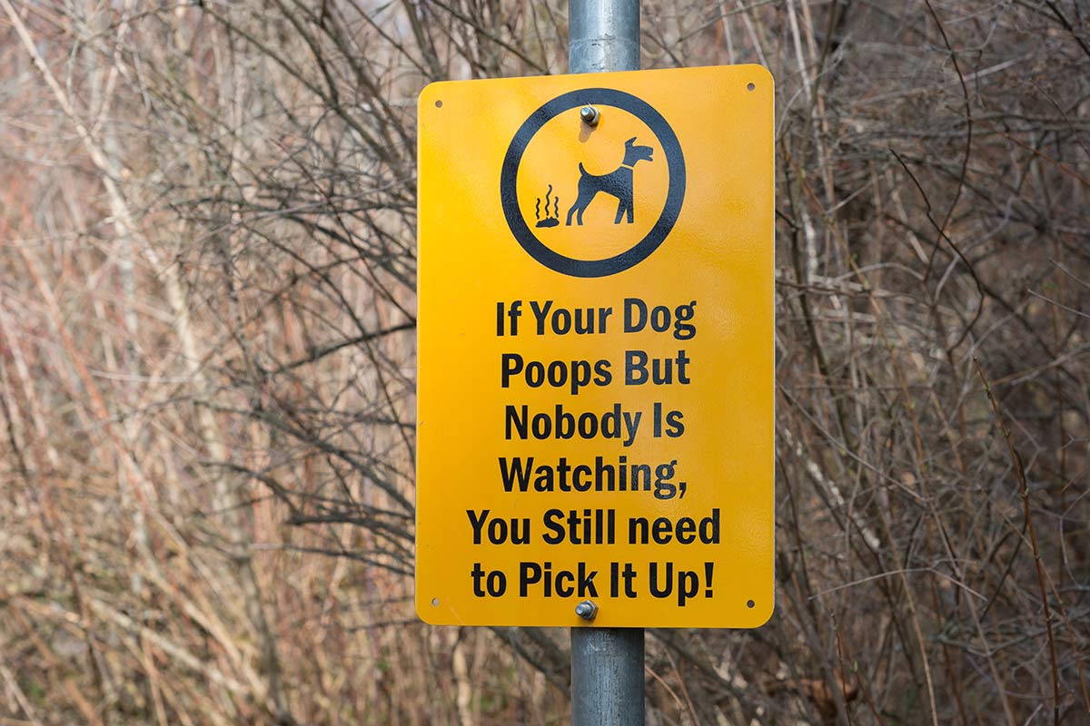 Auf dem Schild steht: Auch wenn niemand zusieht, musst du den Kot deines Hundes aufheben! width=