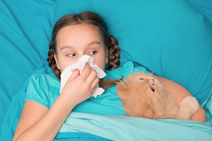 Katzenhaar-Allergie