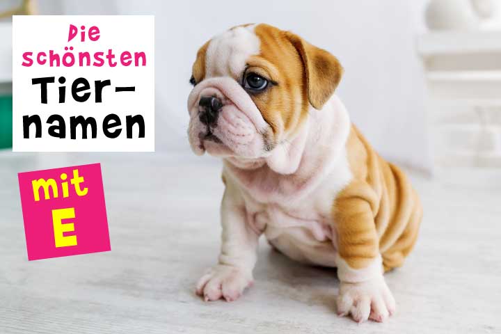 Tiernamen mit E