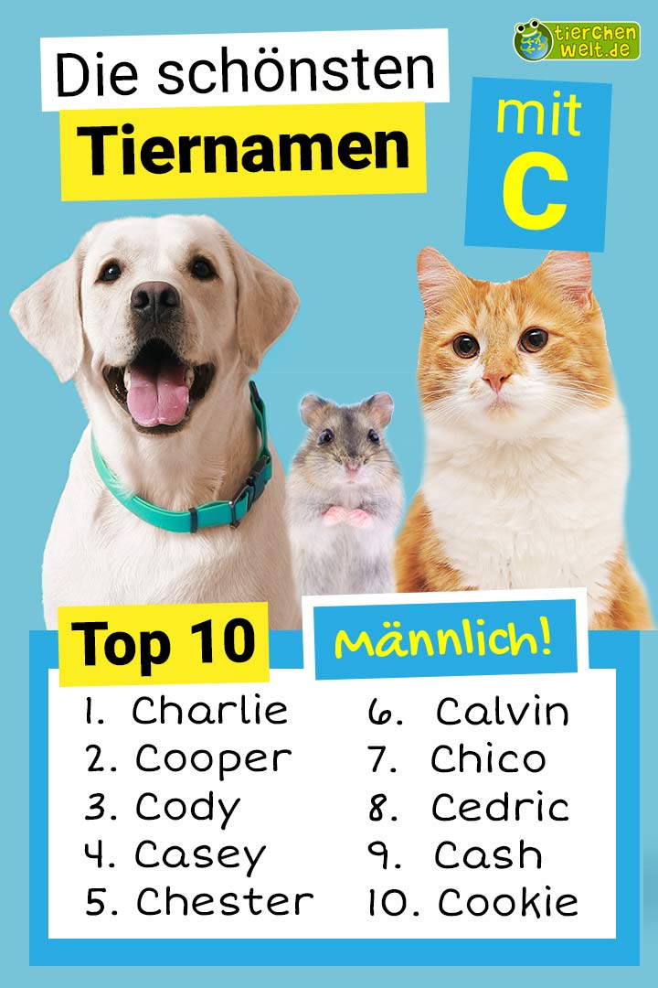 Die schönsten männlichen Tiernamen mit C