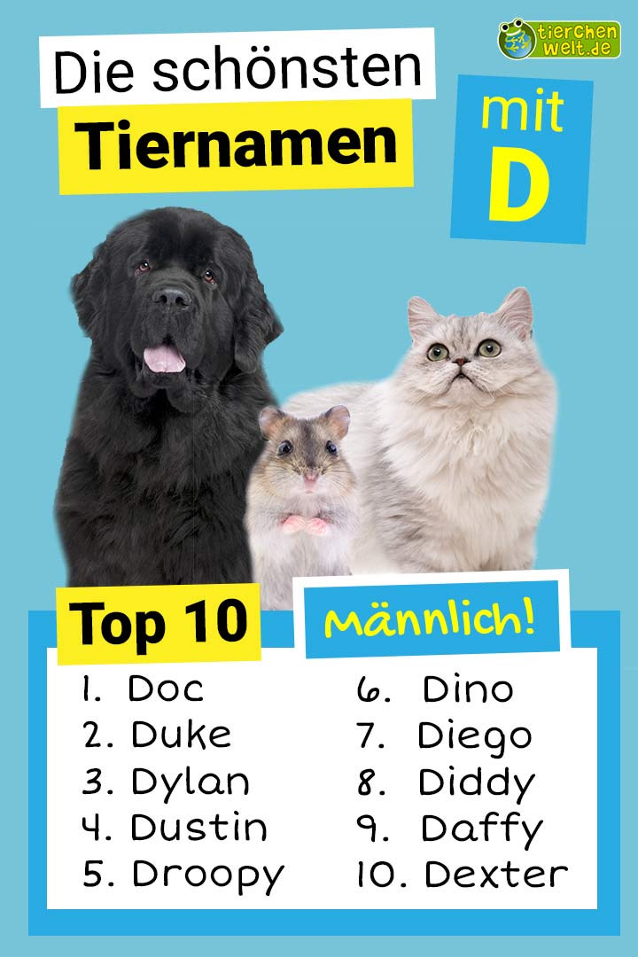 Die schönsten männlichen Tiernamen mit D