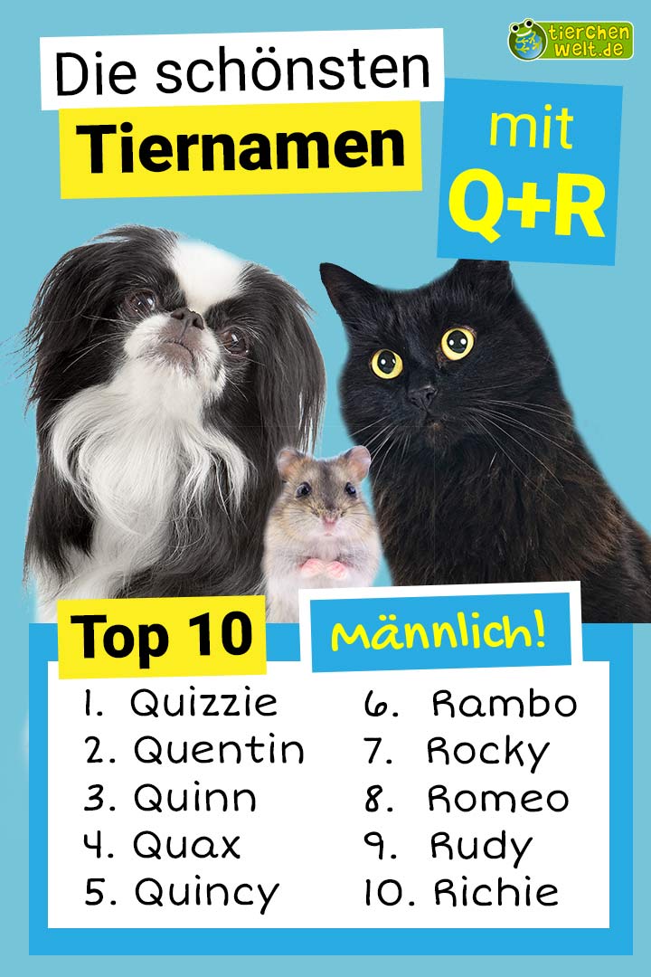 Die schönsten männlichen Tiernamen mit Q und R