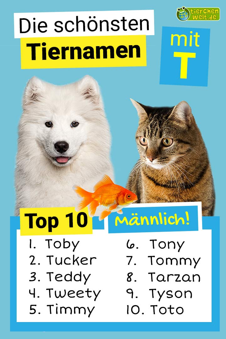 Die schönsten männlichen Tiernamen mit T