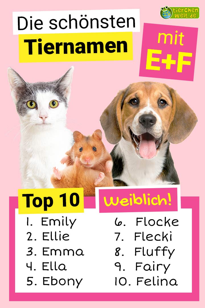 Die schönsten weiblichen Tiernamen mit E und F