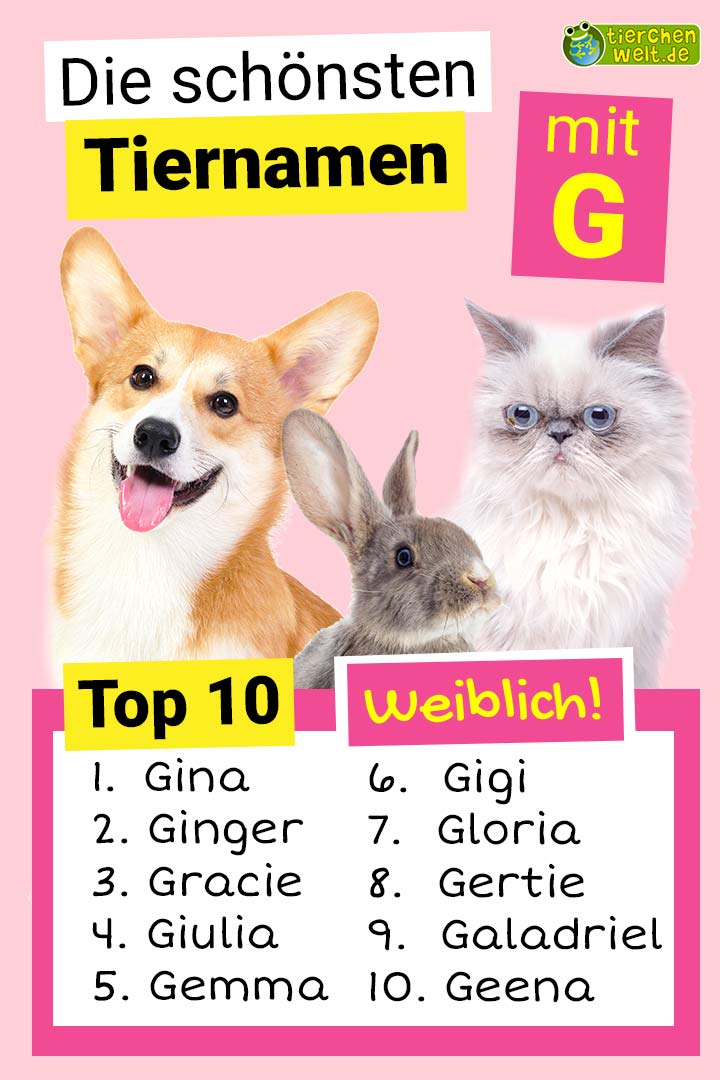Die schönsten weiblichen Tiernamen mit G