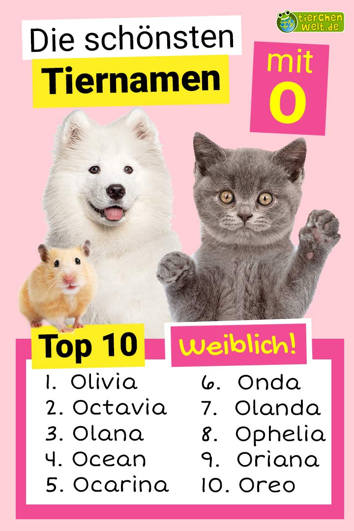 Die schönsten weiblichen Tiernamen mit O