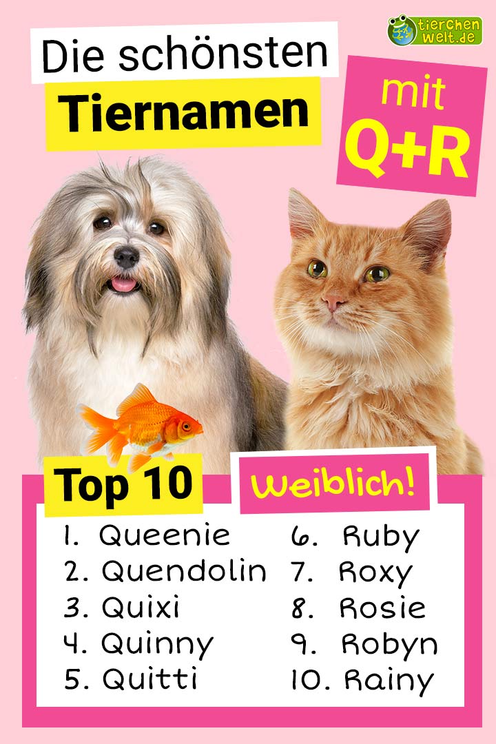 Die schönsten weiblichen Tiernamen mit Q und R