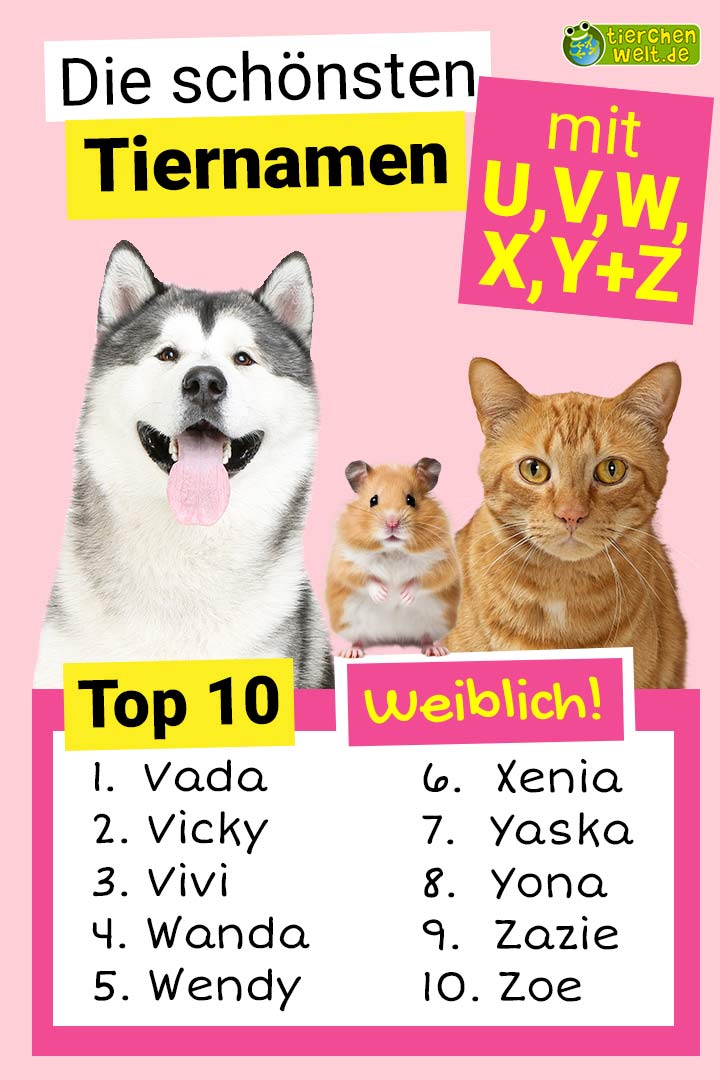 Die schönsten weiblichen Tiernamen mit U, V, W, X, Y und Z