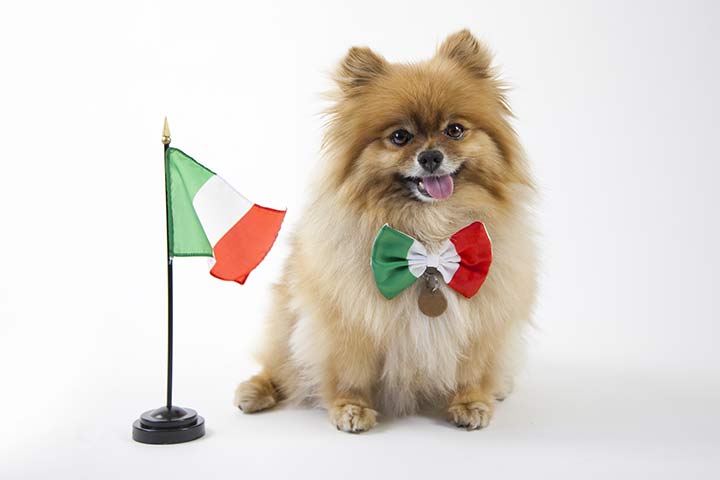 Tiernamen Italienisch