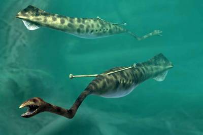 Rätsel um das 300 Millionen Jahre alte, unheimliche „Tully-Monster“ gelöst