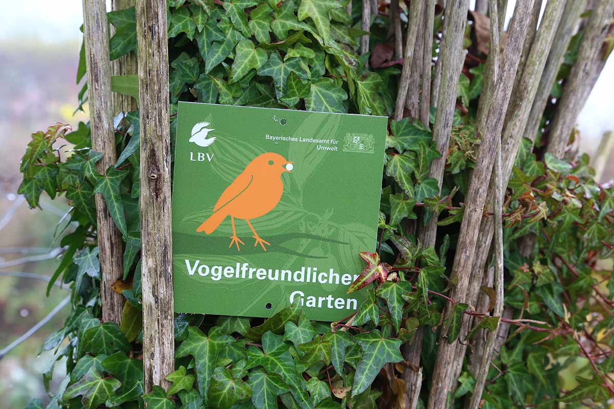 Vogelfreundlicher Garten