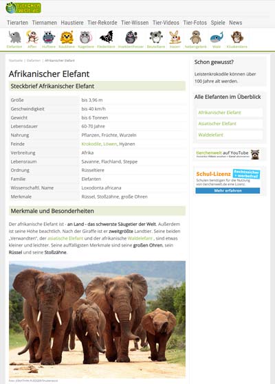 Steckbrief Elefant