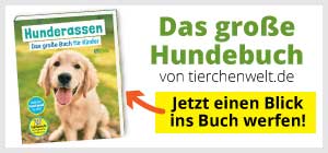 Hunderassen - Das große Buch für Kinder