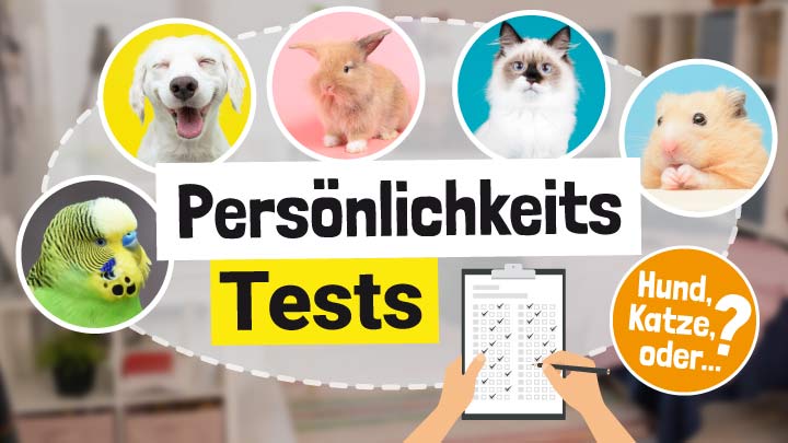 Haustier-Test