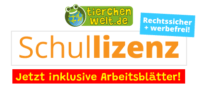 Schullizenz