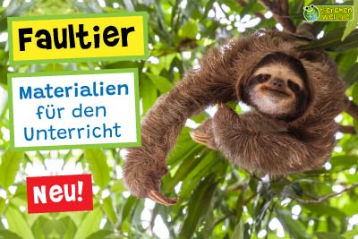 Faultier