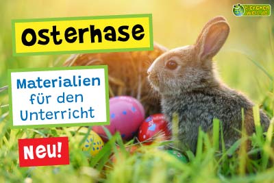 Osterhase