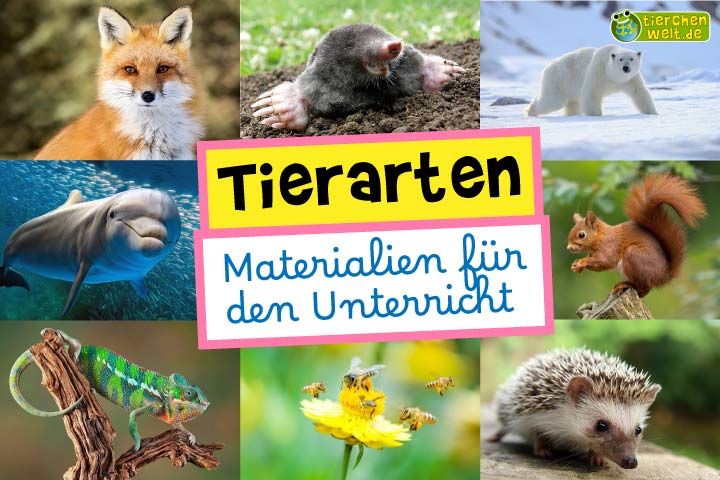 Materialien Tierarten