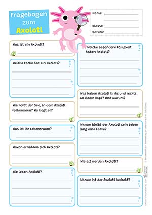 Axolotl Fragen