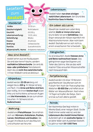 Axolotl Lesetext