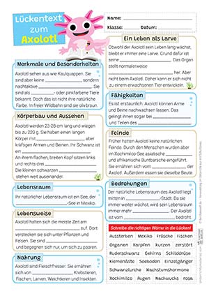 Axolotl Lückentext