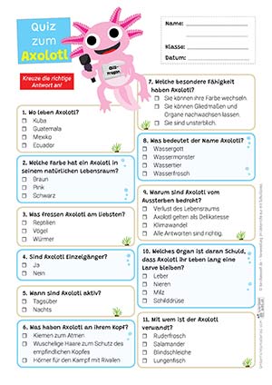 Axolotl Quiz