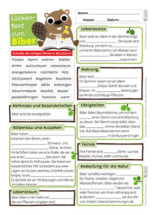 Biber Lückentext