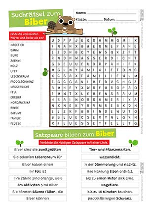 Biber Suchrätsel