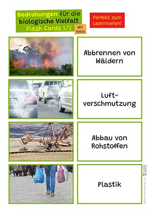 Biologische Vielfalt - Flashcards?