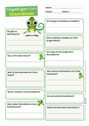 Chamäleon Fragen