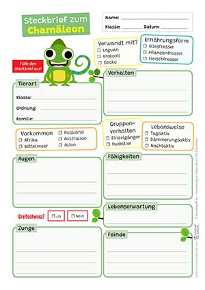 Chamäleon Steckbrief