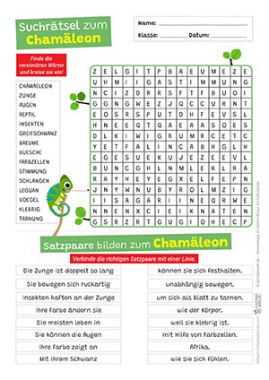 Chamäleon Suchrätsel