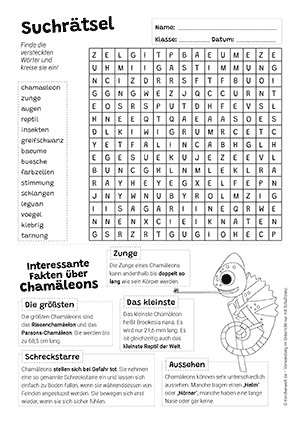 Chamäleon Suchrätsel