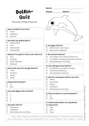 Delfin Quiz