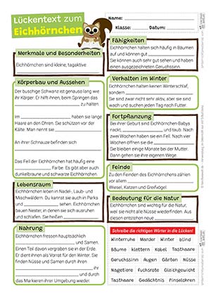 Eichhörnchen Lückentext