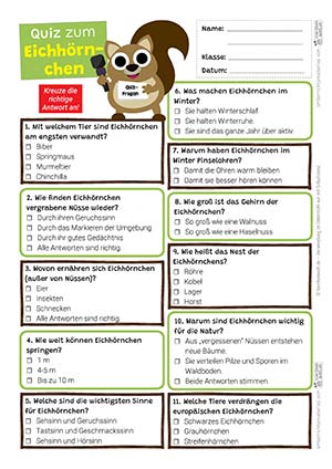 Eichhörnchen Quiz