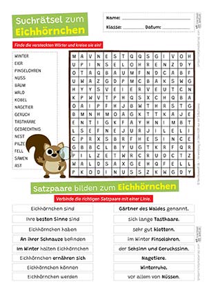 Eichhörnchen Suchrätsel