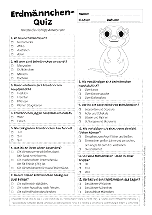 Erdmännchen Quiz