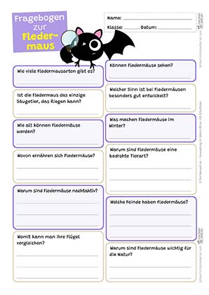 Fledermaus Fragebogen