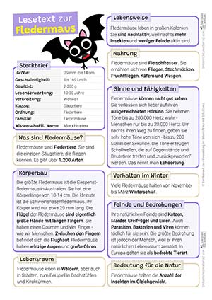 Fledermaus Lesetext